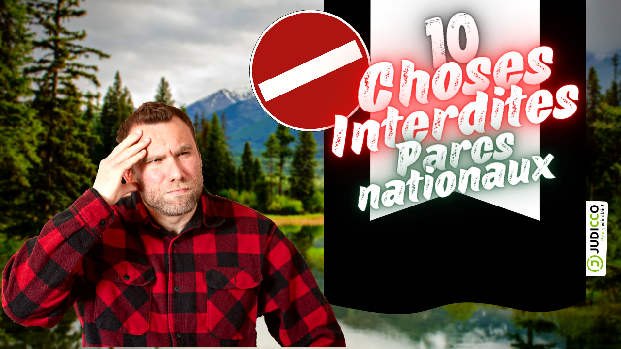 Il est écrit 10 choses interdites dans les parcs nationaux du Québec et il y a une personne en chemise de bucheron en arrière-plan et un décor de parc national