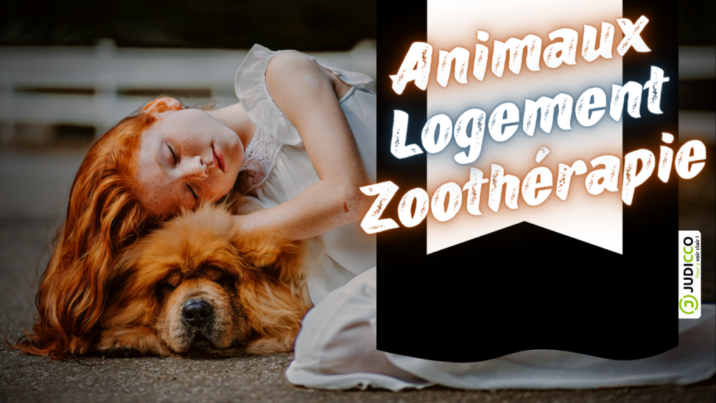 Il est écrit animaux logement et zoothérapie et il y a une jeune fille rousse couché sur un chien en arrière-plan